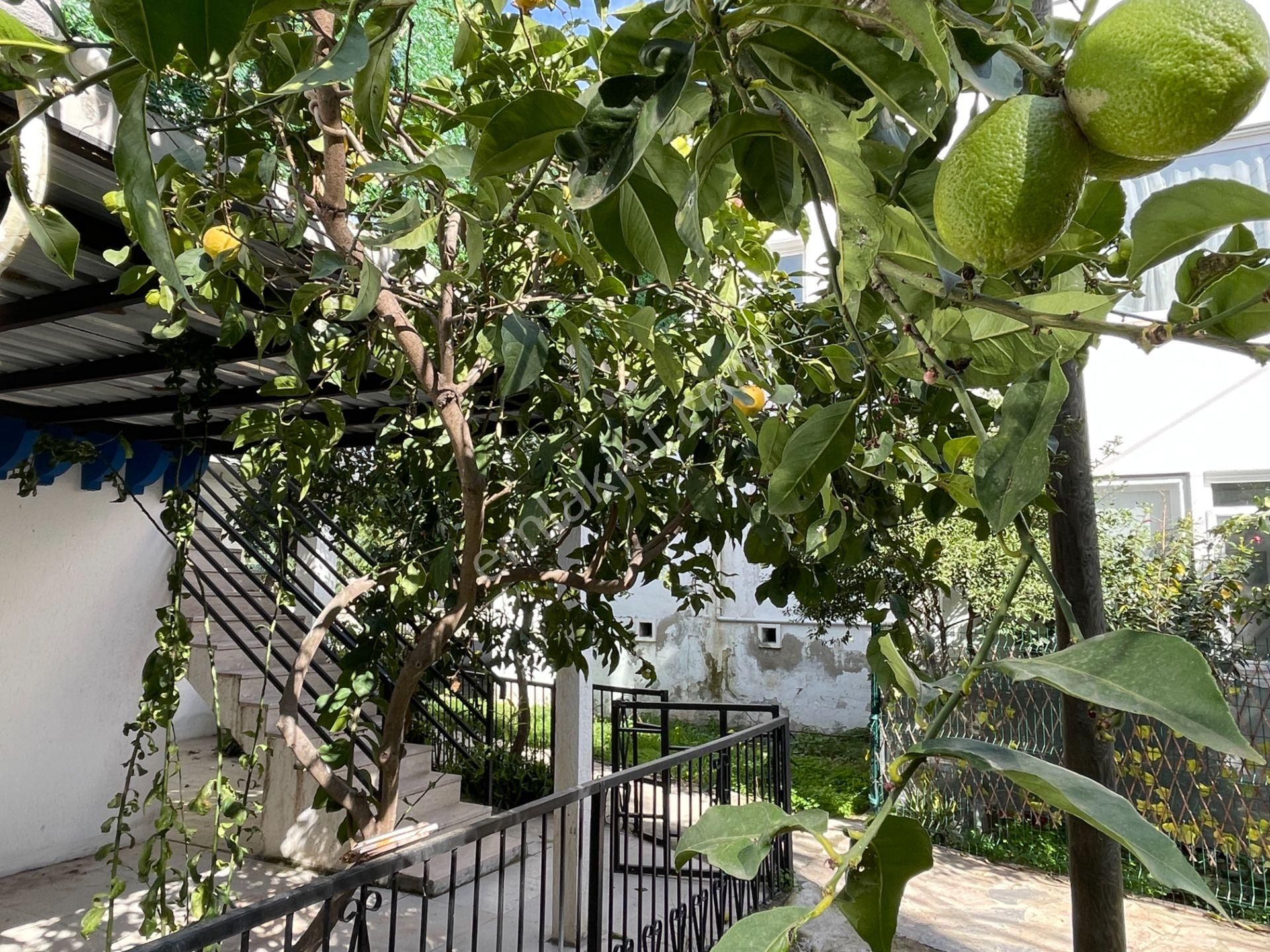 Turgutreis Merkezde Tek Tapu, 3 Bağımsız Birim: Yüksek Kira Getirili Müstakil Bina - Görsel 9