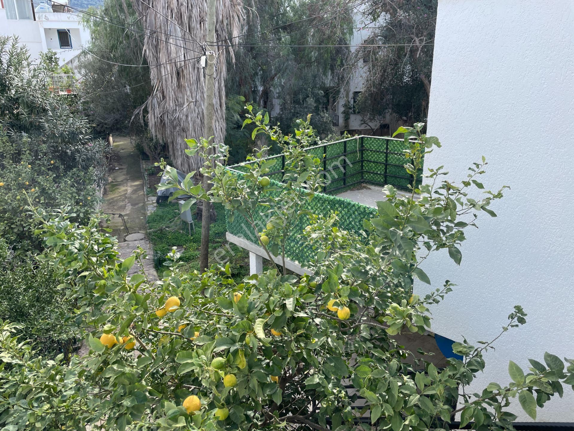 Turgutreis Merkezde Tek Tapu, 3 Bağımsız Birim: Yüksek Kira Getirili Müstakil Bina - Görsel 21