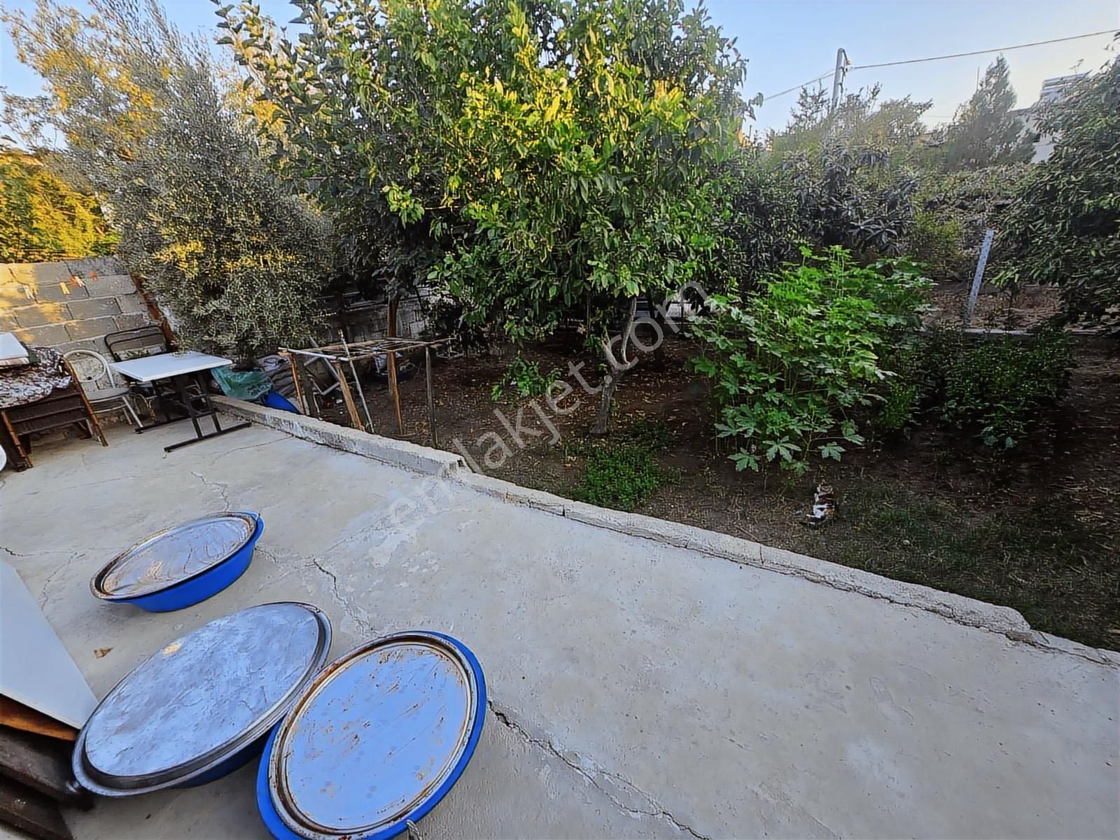 Vesile'den Tek Katlı 286 M² Arsalı 2+1 Müstakil - Görsel 25