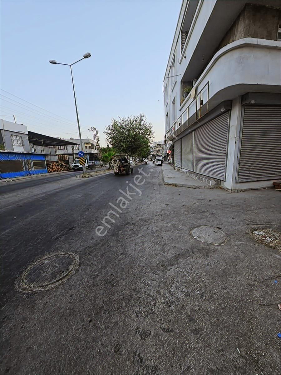 Vesile'den Tek Katlı 286 M² Arsalı 2+1 Müstakil - Görsel 5