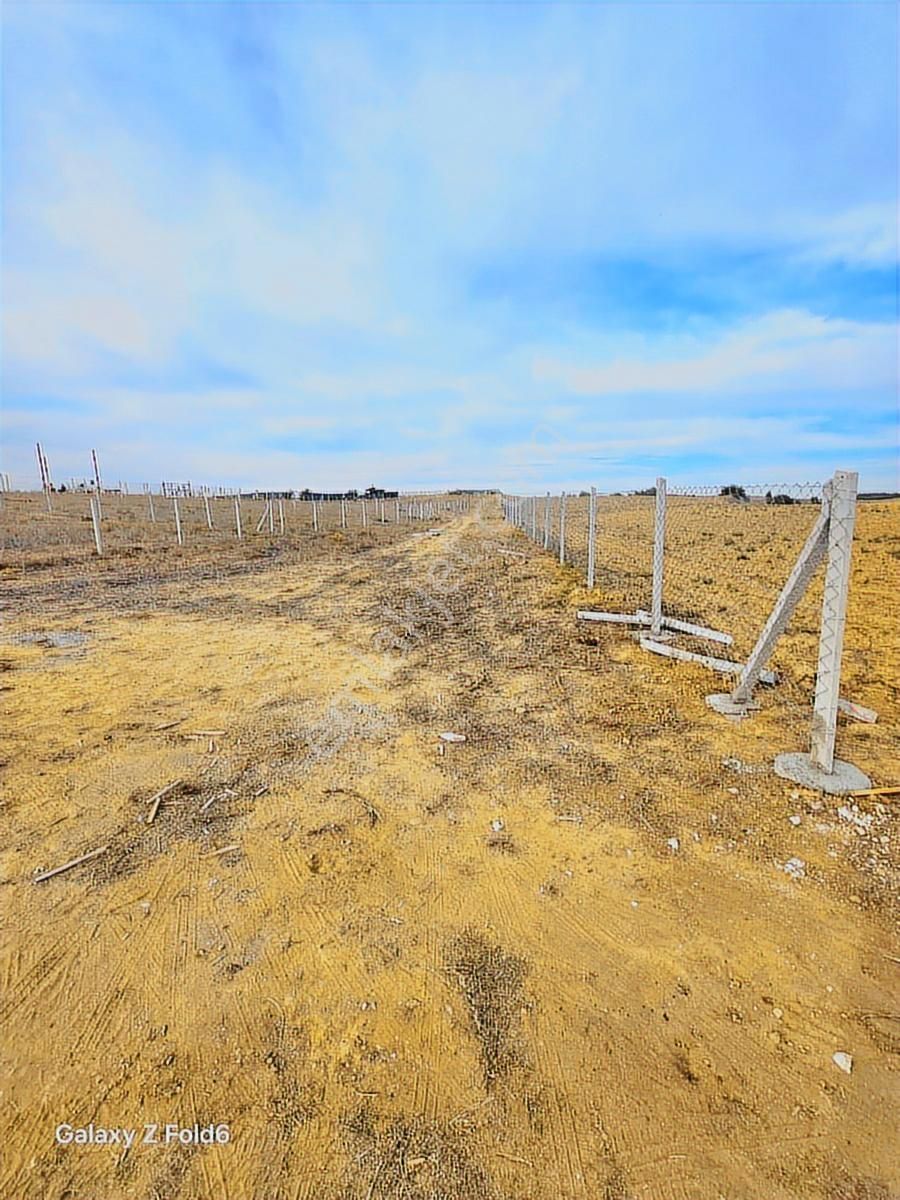 Vesile'den Etrafı Çevrili Kadastro Yola Cepheli 1100 M² - Görsel 5