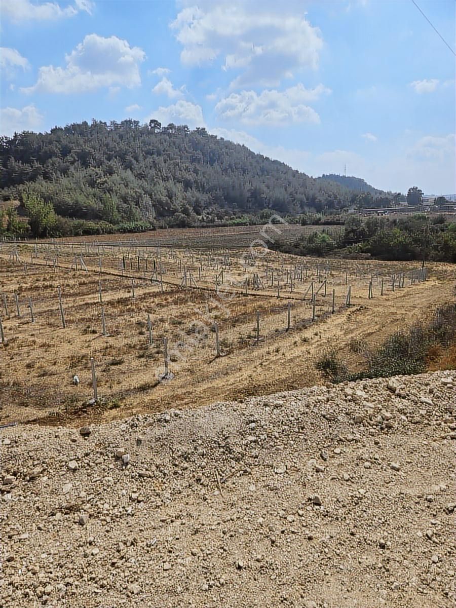 Vesile'den Kozanyolu Yanı 256 M² Harika Konumda - Görsel 22