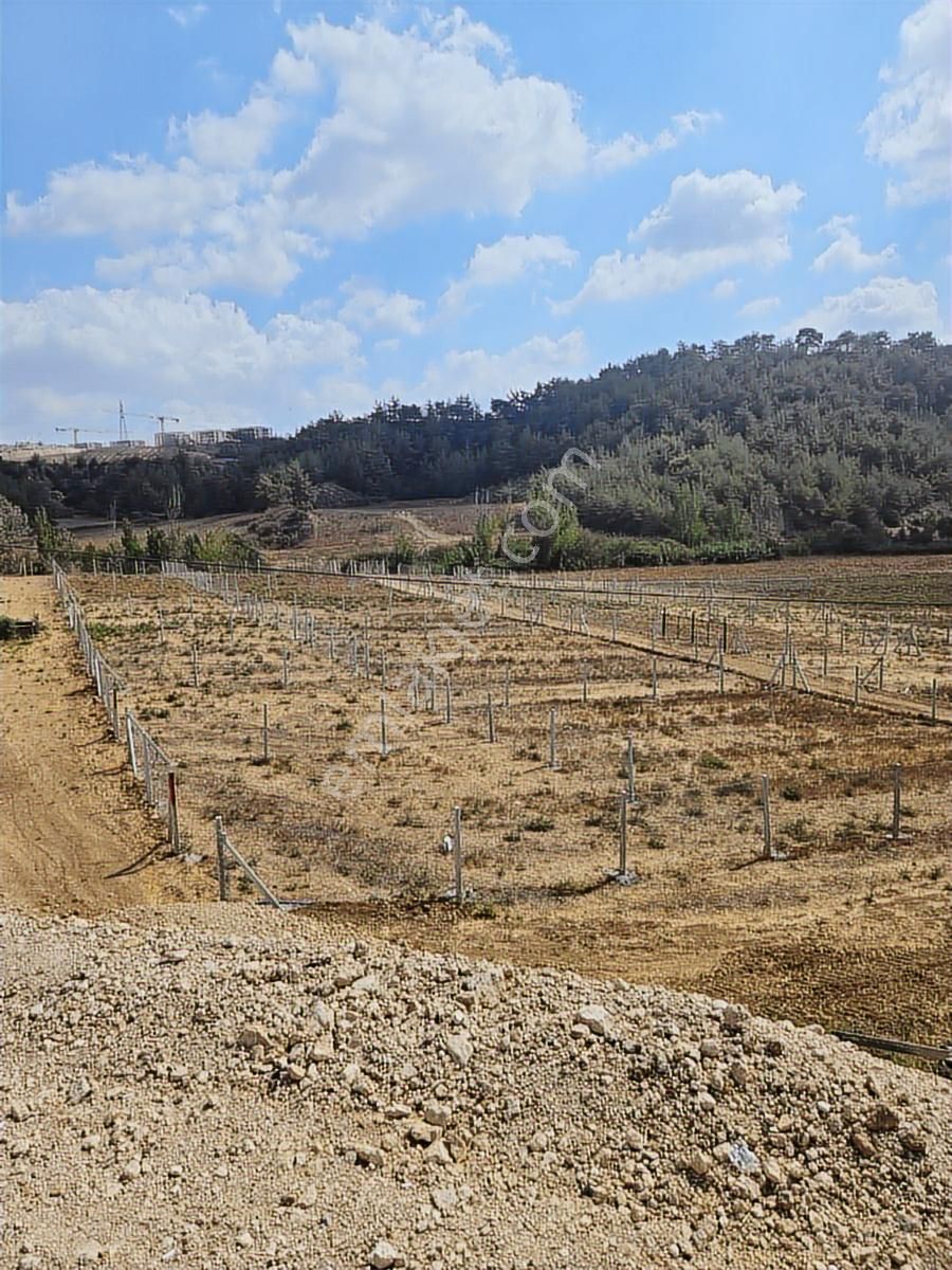 Vesile'den Kozanyolu Yanı 256 M² Harika Konumda - Görsel 21