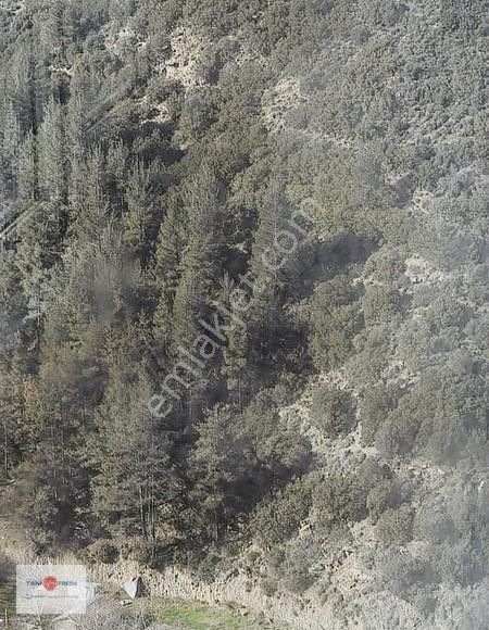 Narbel Siteisi'nde Manzaralı, Arakat, Geniş 2+1 Daire - Görsel 3