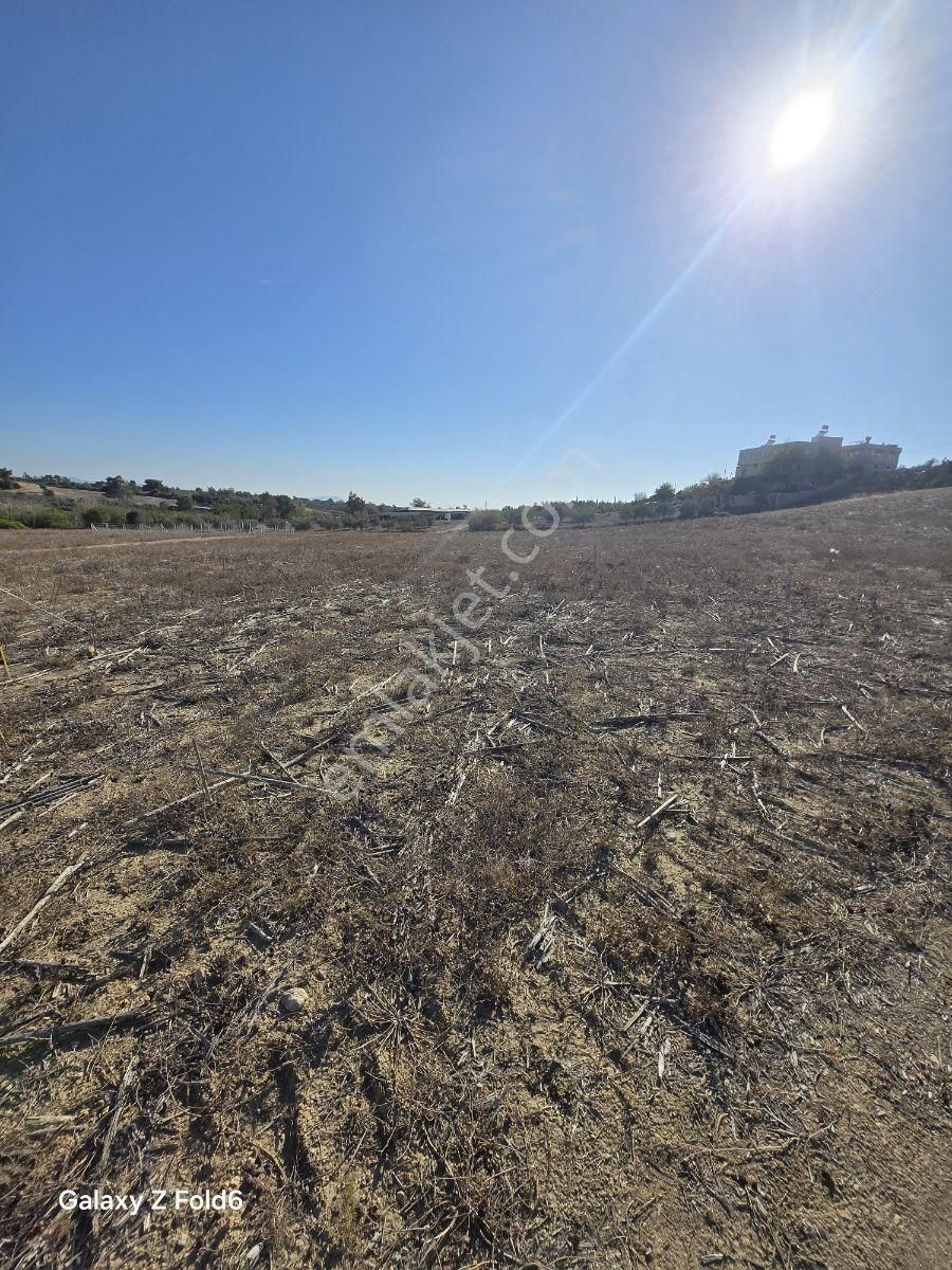 Vesile'den Burukta 333 M² Tek Tapu İmarlı Arsa - Görsel 2