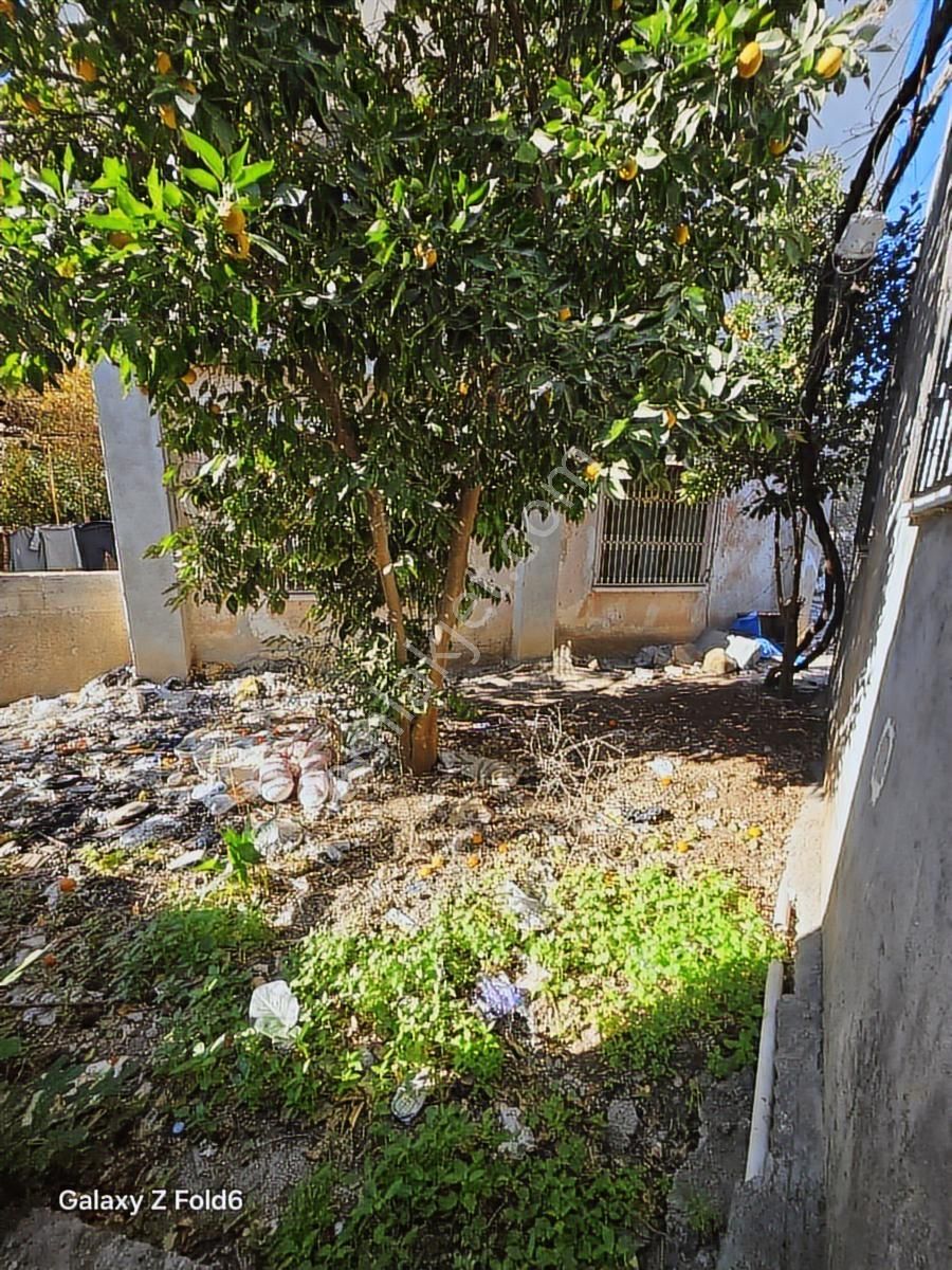 Vesile'den Burukta Tek Katlı Müstakil Açıklamayı Okuyunuz - Görsel 24