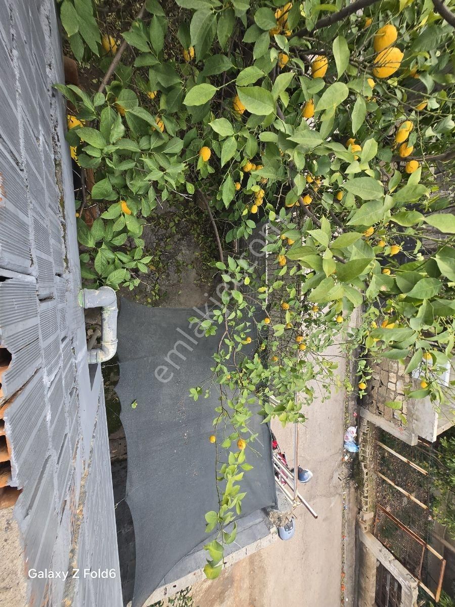 Vesile'den 1.5 Katlı 3+1 Bahçeli Müstakil - Görsel 17