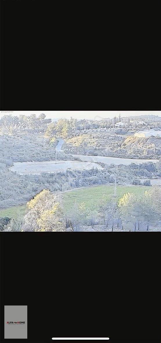 Manavgat Bucakşeyhlerde Müstakil Tarla - Görsel 5