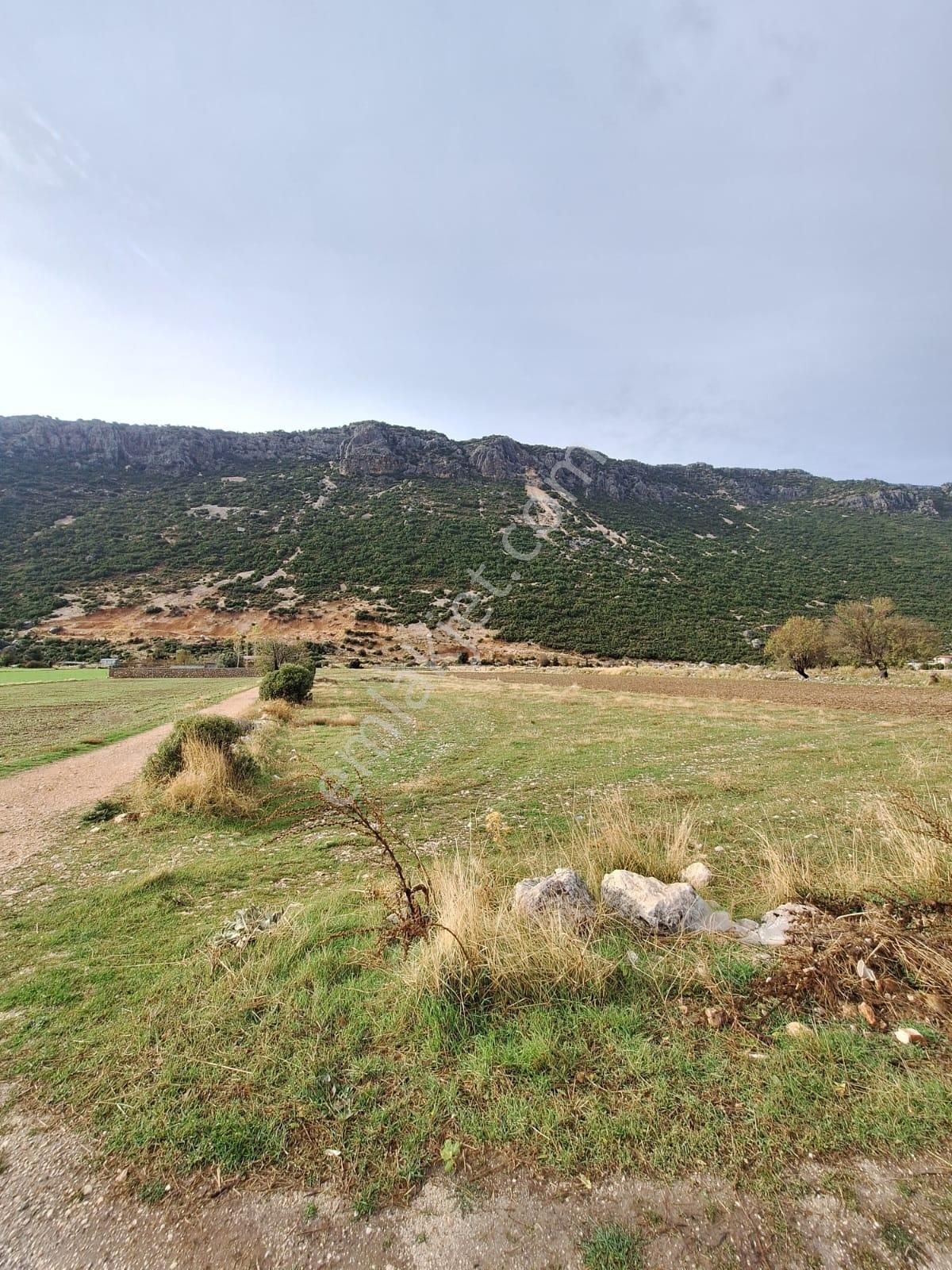Kaş Kalkan Bezirgan'da 6286 M2 Satılık Tarla - Görsel 5