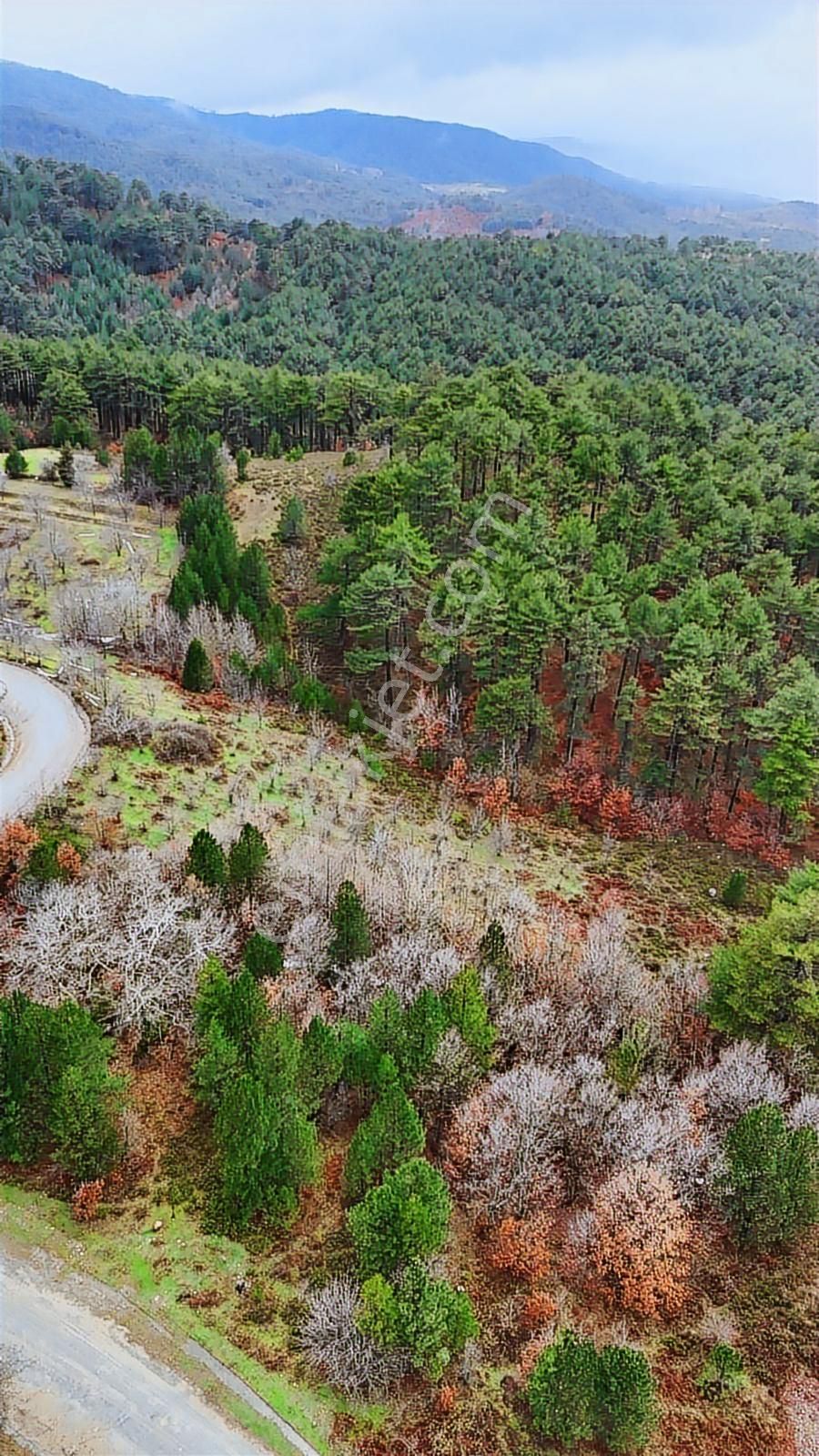 07 Truva Emlaktan Çanakkale Bayramiç Serhat Köyü Satılık Tarla - Görsel 16