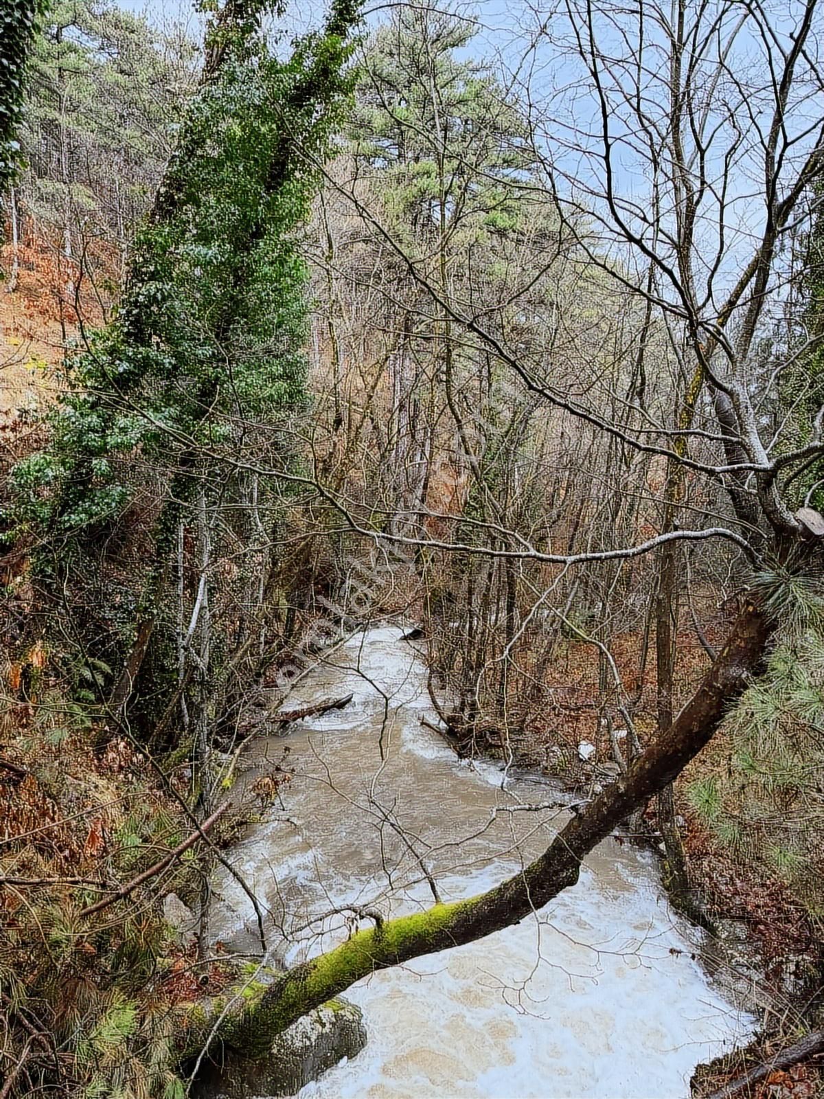 07 Truva Emlaktan Çanakkale Bayramiç Serhat Köyü Satılık Tarla