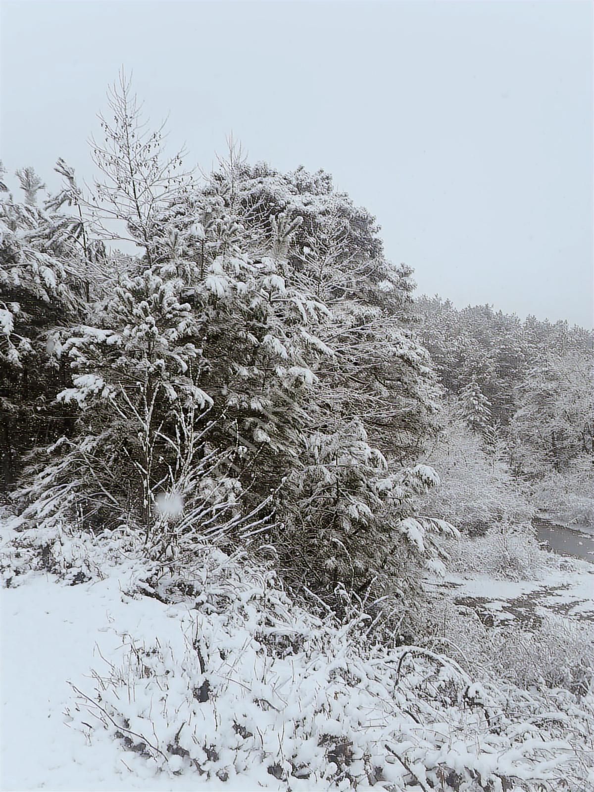 07 Truva Emlaktan Çanakkale Bayramiç Serhat Köyü Satılık Tarla - Görsel 22