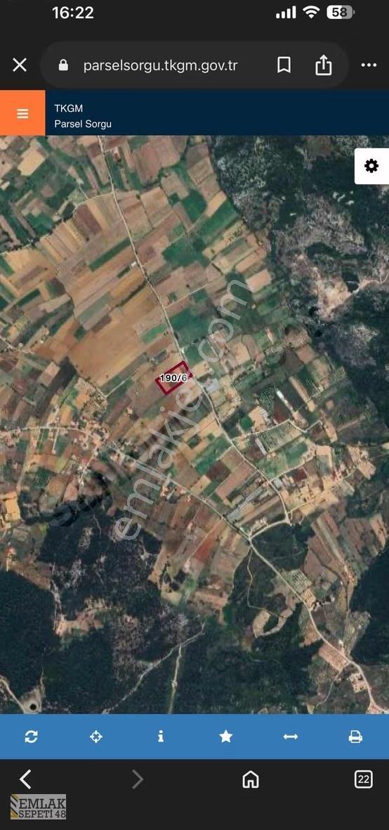 Muğla Yenicede Satılık Tarla - Görsel 4