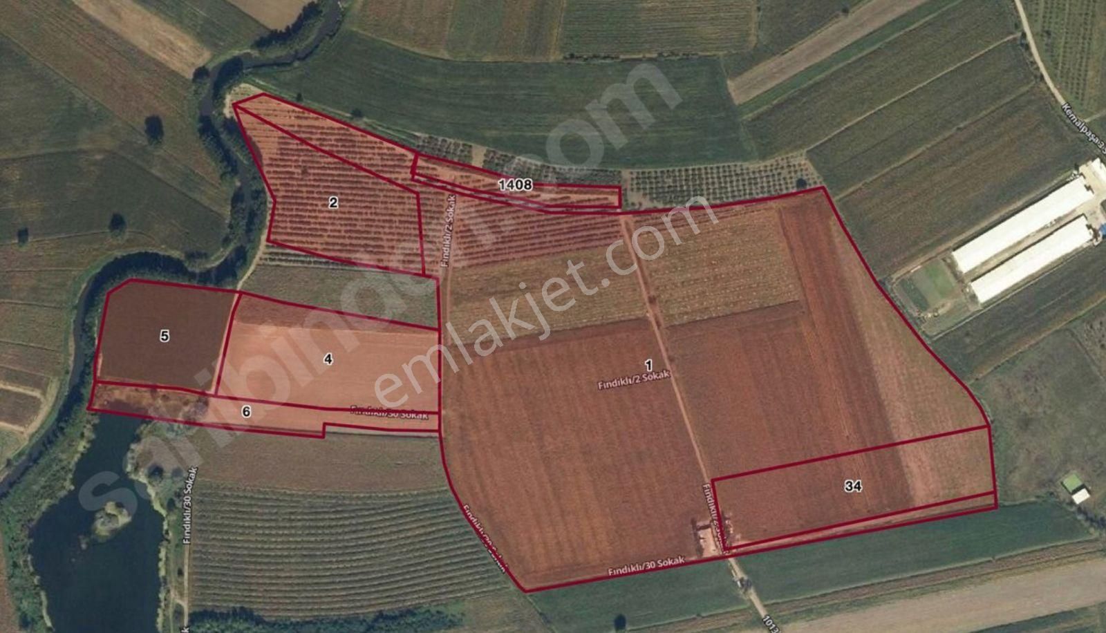 Sakarya 182 Dönüm Müstakıl Parsel Satılık Büyük Arazı Tarla