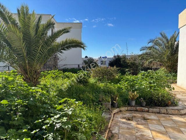 Bodrum Oasis Avm Üzeride Kiralık Bahçe Katı Daire 2+1 - Görsel 2