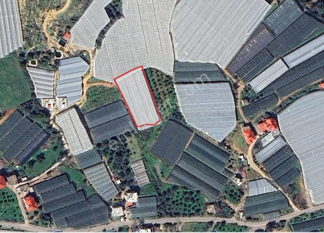 Macar Mahallesi 2.367 M² Satılık Muz Serası