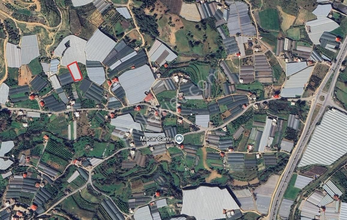 Macar Mahallesi 2.367 M² Satılık Muz Serası - Görsel 2