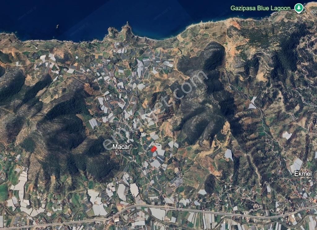 Macar Mahallesi 2.367 M² Satılık Muz Serası - Görsel 4