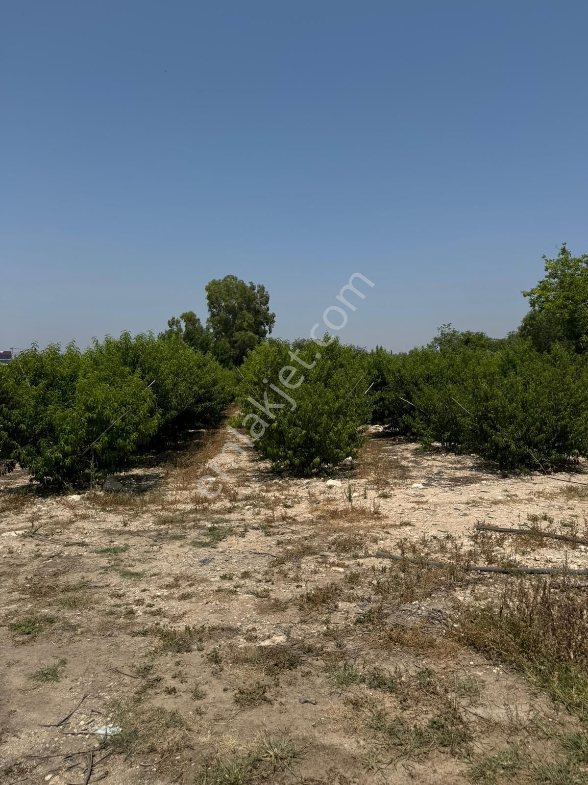 Kürkçü Köyü Sınırlarında İmar Planı İçerisinde Yatırımlık Satılık Arsa - Görsel 9