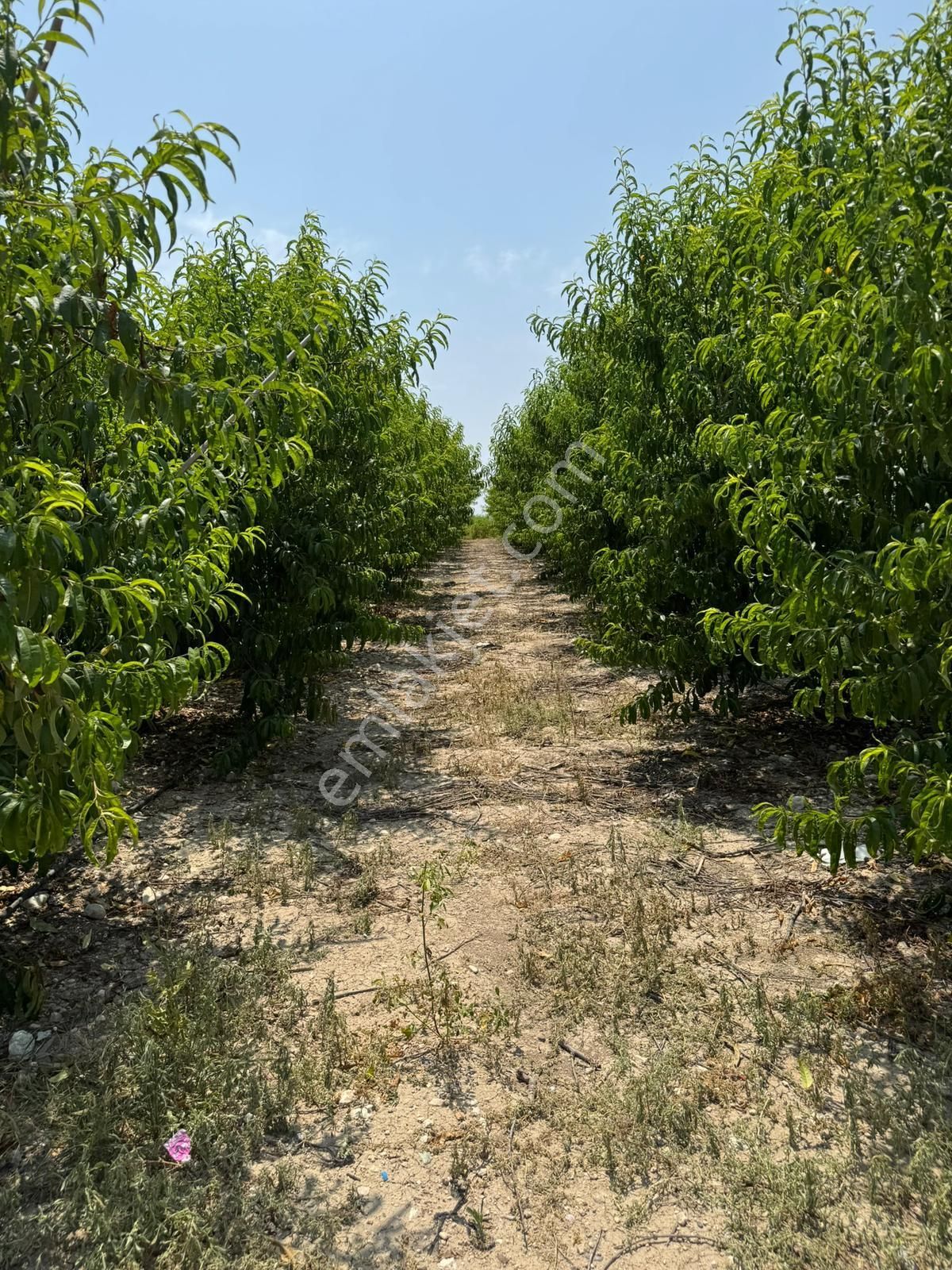 Kürkçü Köyü Sınırlarında İmar Planı İçerisinde Yatırımlık Satılık Arsa - Görsel 4