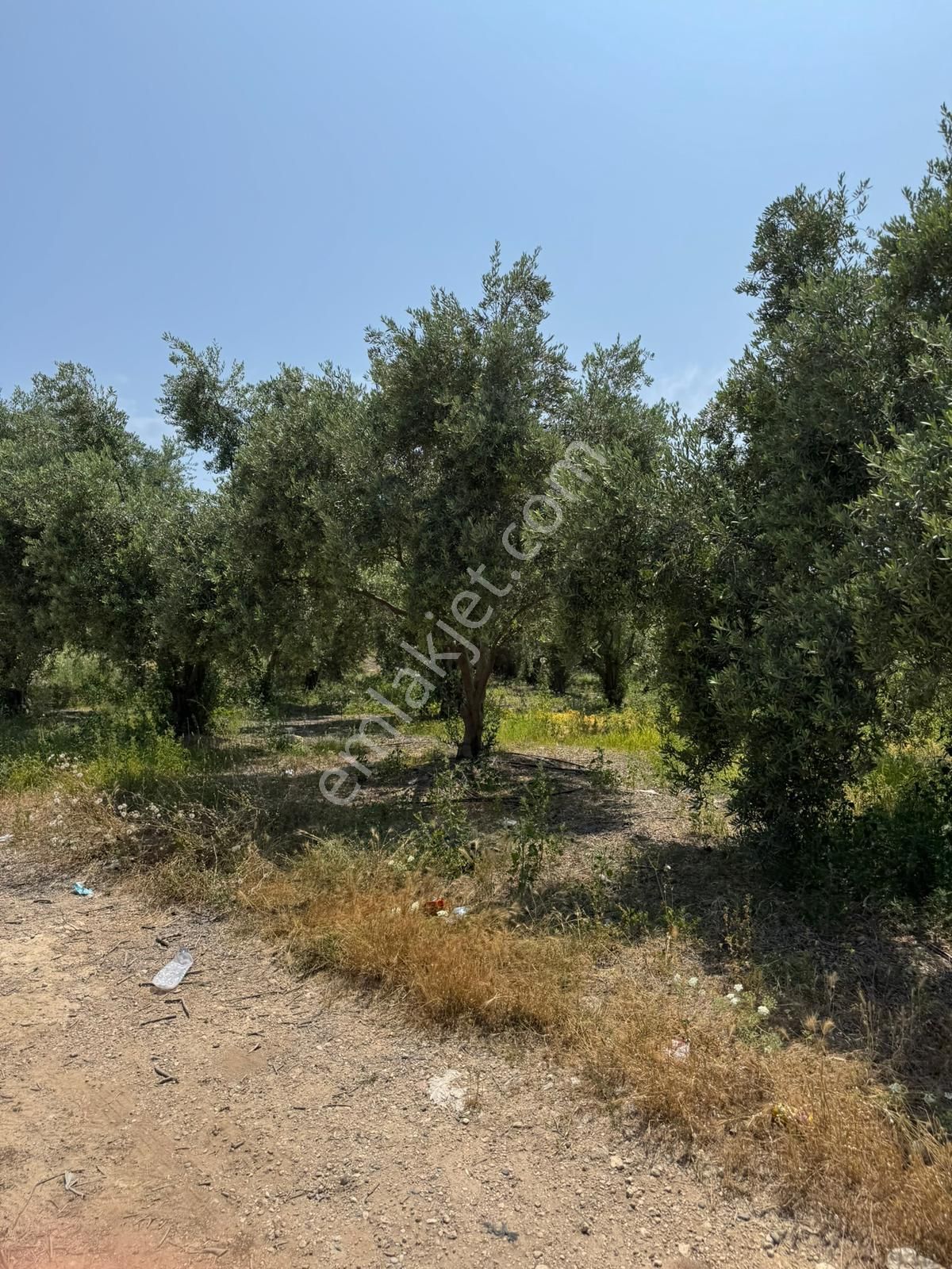 Kürkçü Köyü Sınırlarında İmar Planı İçerisinde Yatırımlık Satılık Arsa - Görsel 10