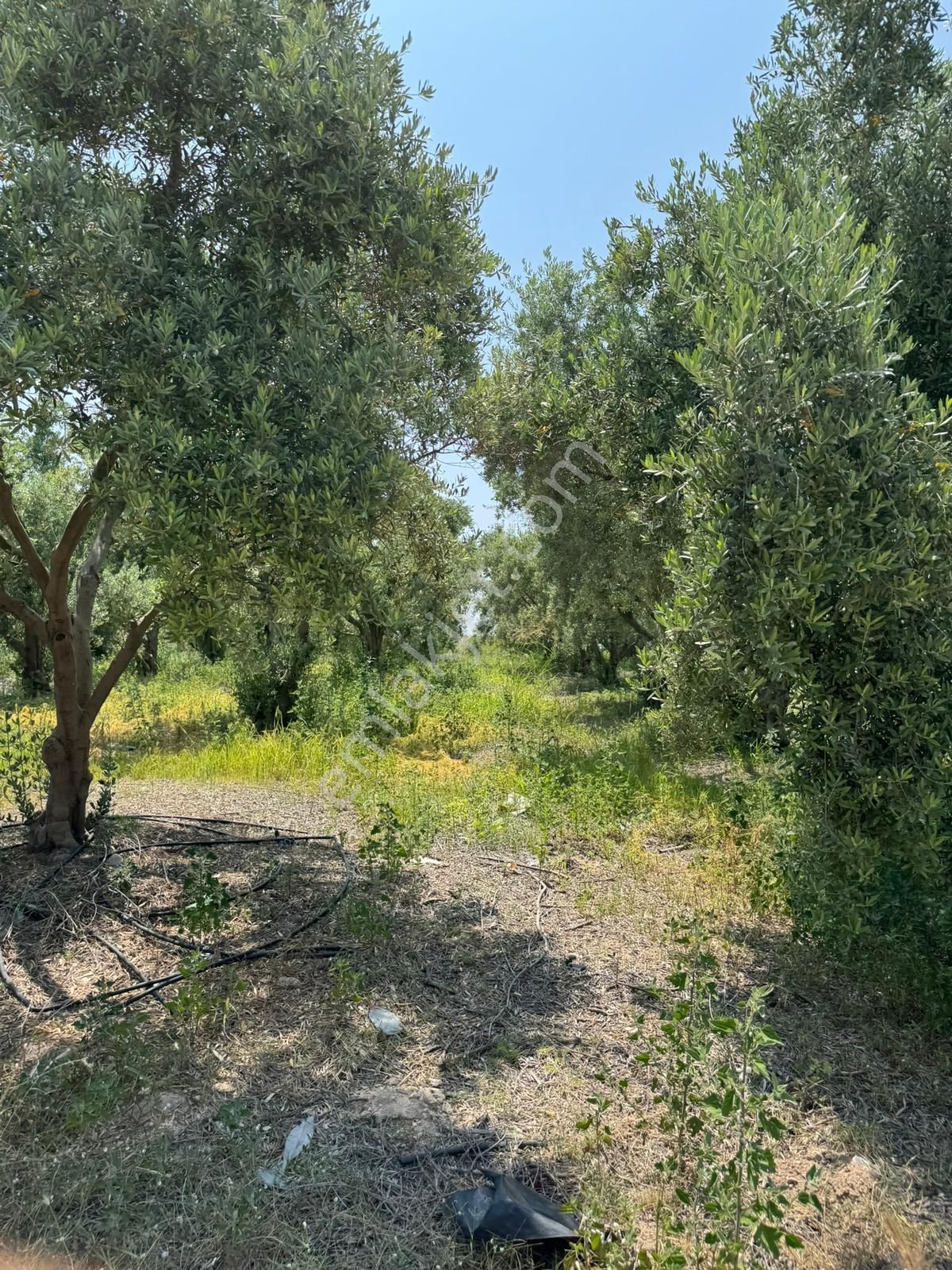 Kürkçü Köyü Sınırlarında İmar Planı İçerisinde Yatırımlık Satılık Arsa - Görsel 5