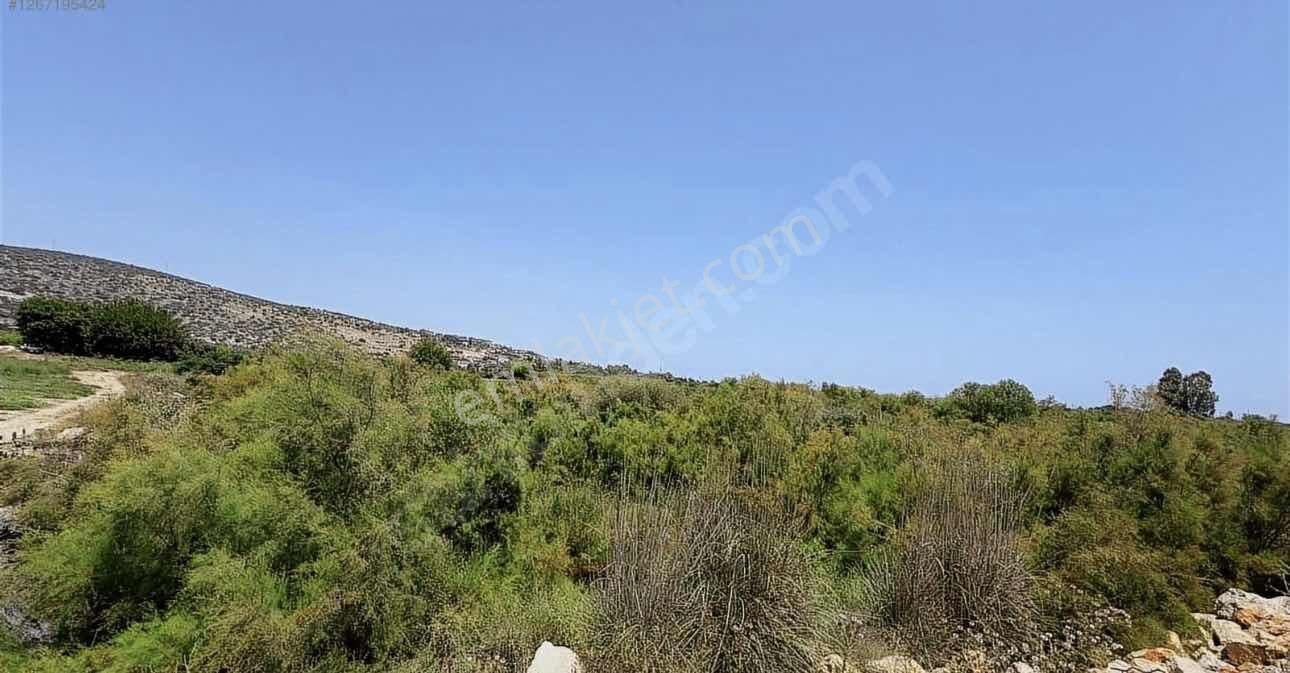 Son Derece Özel Fırsat 20 Dönüm Mersin/antalya Yoluna 400 M - Görsel 8