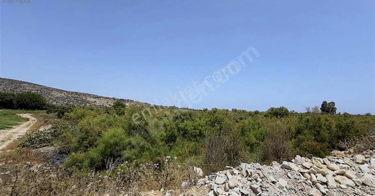 Son Derece Özel Fırsat 20 Dönüm Mersin/antalya Yoluna 400 M - Görsel 5