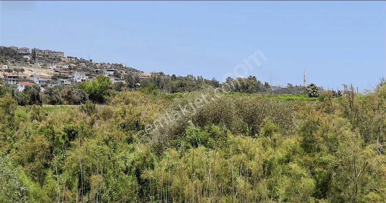 Son Derece Özel Fırsat 20 Dönüm Mersin/antalya Yoluna 400 M - Görsel 4