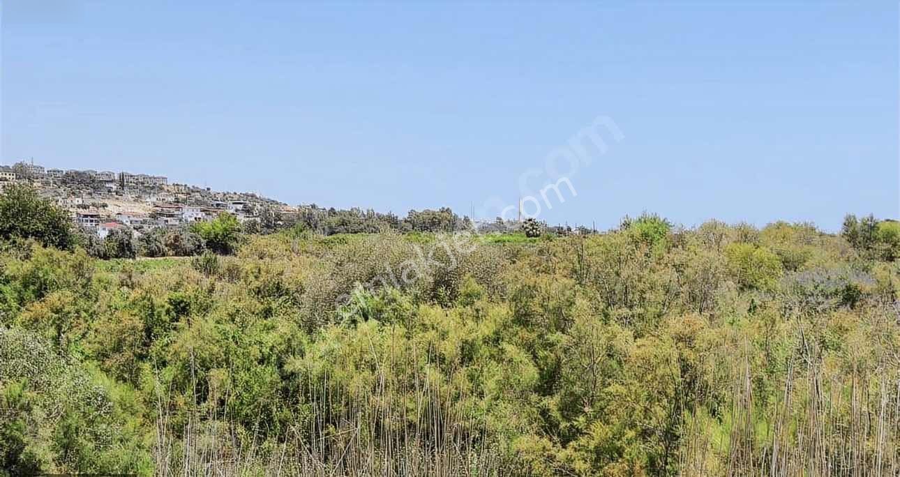 Son Derece Özel Fırsat 20 Dönüm Mersin/antalya Yoluna 400 M - Görsel 2