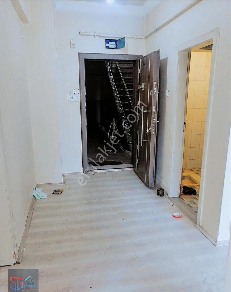 Ara Kat Daire - Görsel 6