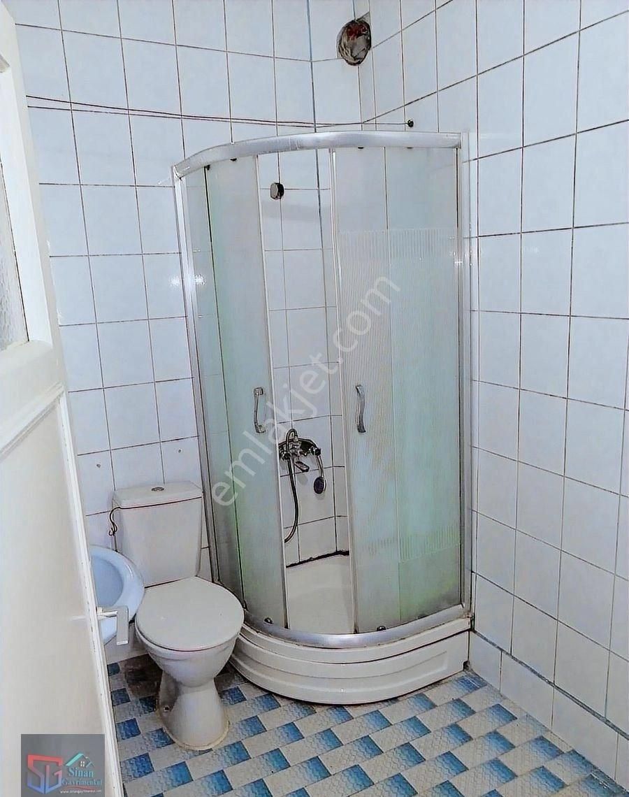 Ara Kat Daire - Görsel 2