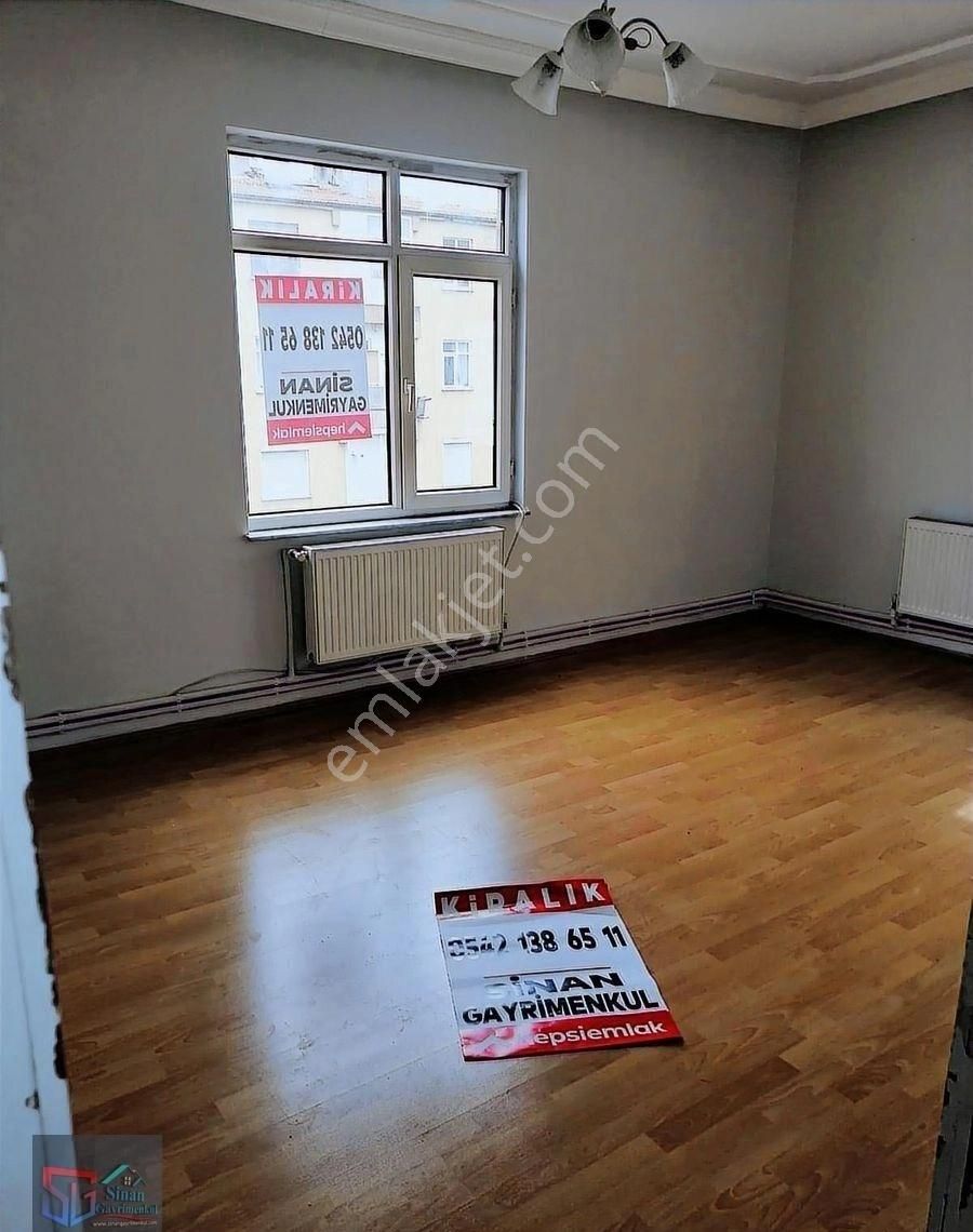 Ara Kat Daire - Görsel 14