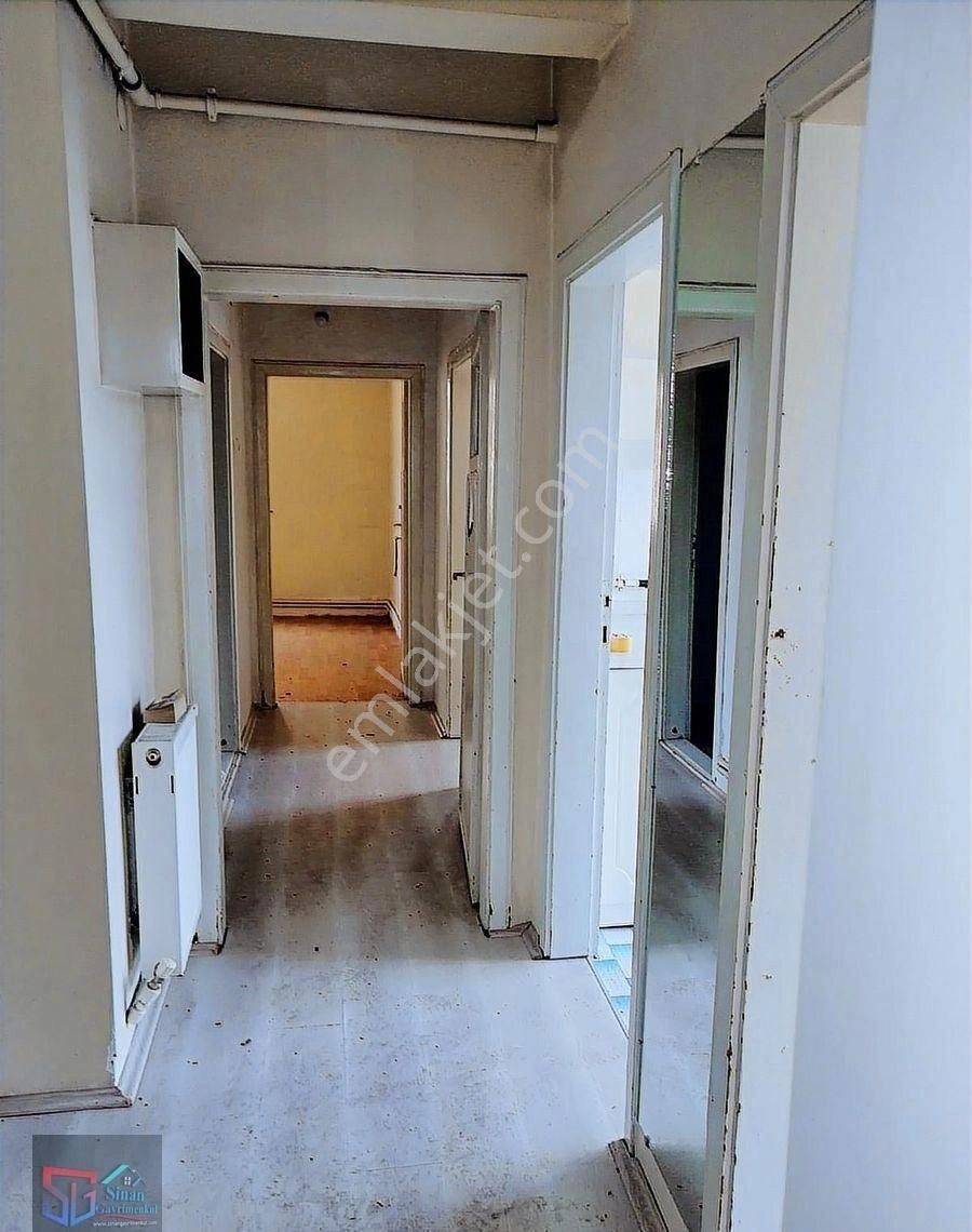 Ara Kat Daire - Görsel 5