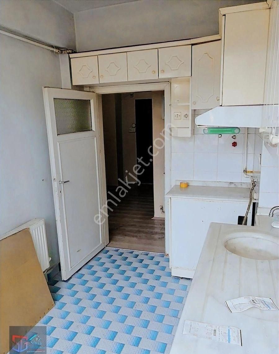 Ara Kat Daire - Görsel 10