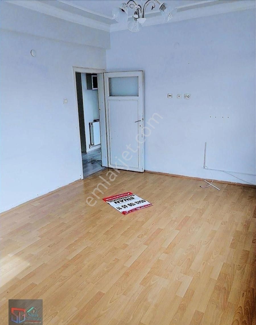 Ara Kat Daire - Görsel 13