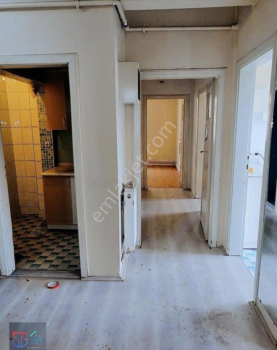 Ara Kat Daire - Görsel 3