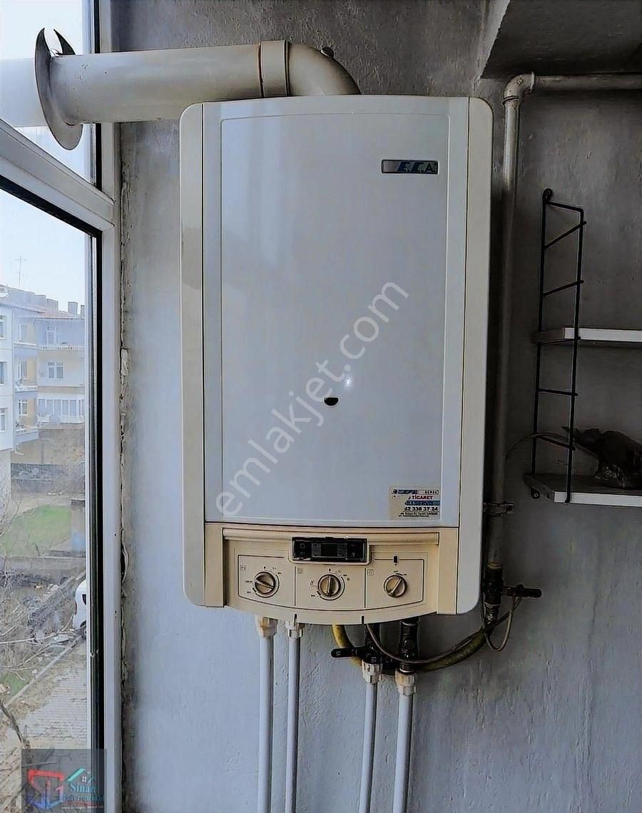 Ara Kat Daire - Görsel 7