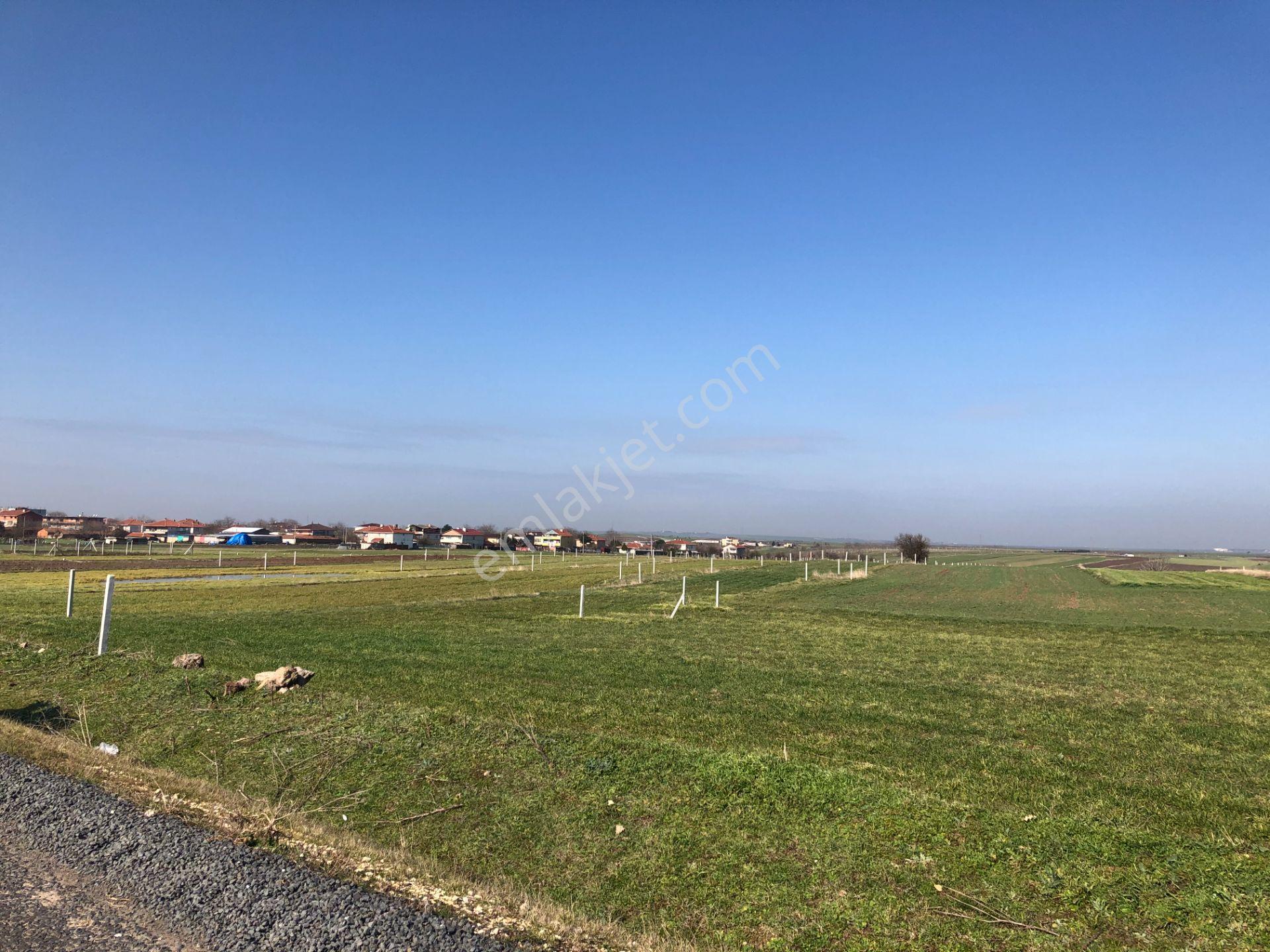 Tekirdağ Ergene Misinli De İmarlı İfrazlı Arsa - Görsel 9