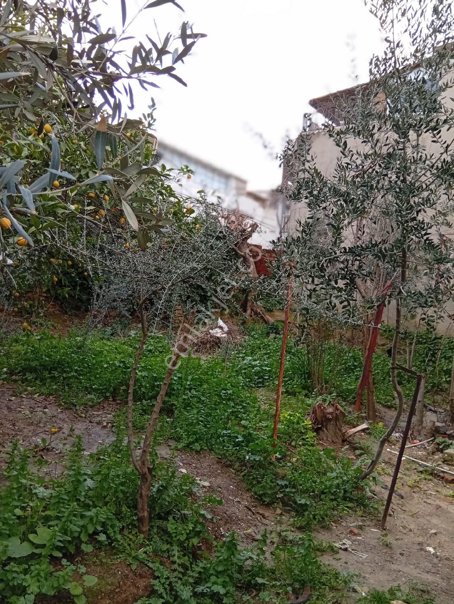 Aydın Söke Çeltikçi Mah Bahçeli İki Katlı Her Kat 2+1 Odalı Satılık Müstakil Ev - Görsel 25