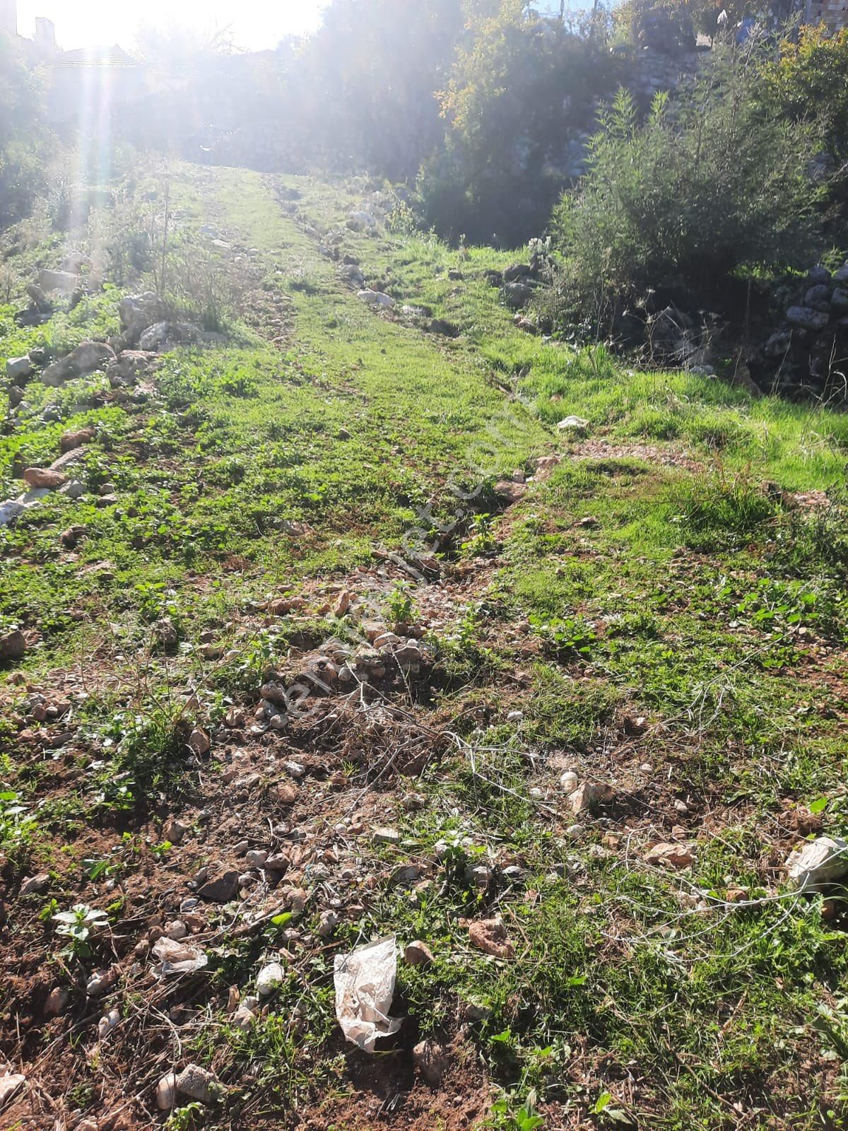 Seydikemer Minare De 1038 M2 Köy İçi İmarlı Satılık Araa - Görsel 7