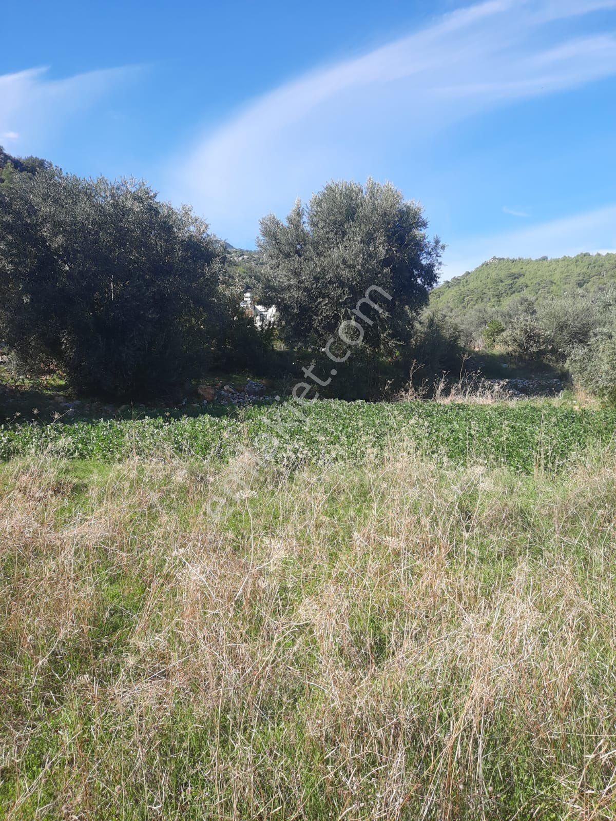 Seydikemer Minare De 1038 M2 Köy İçi İmarlı Satılık Araa - Görsel 2