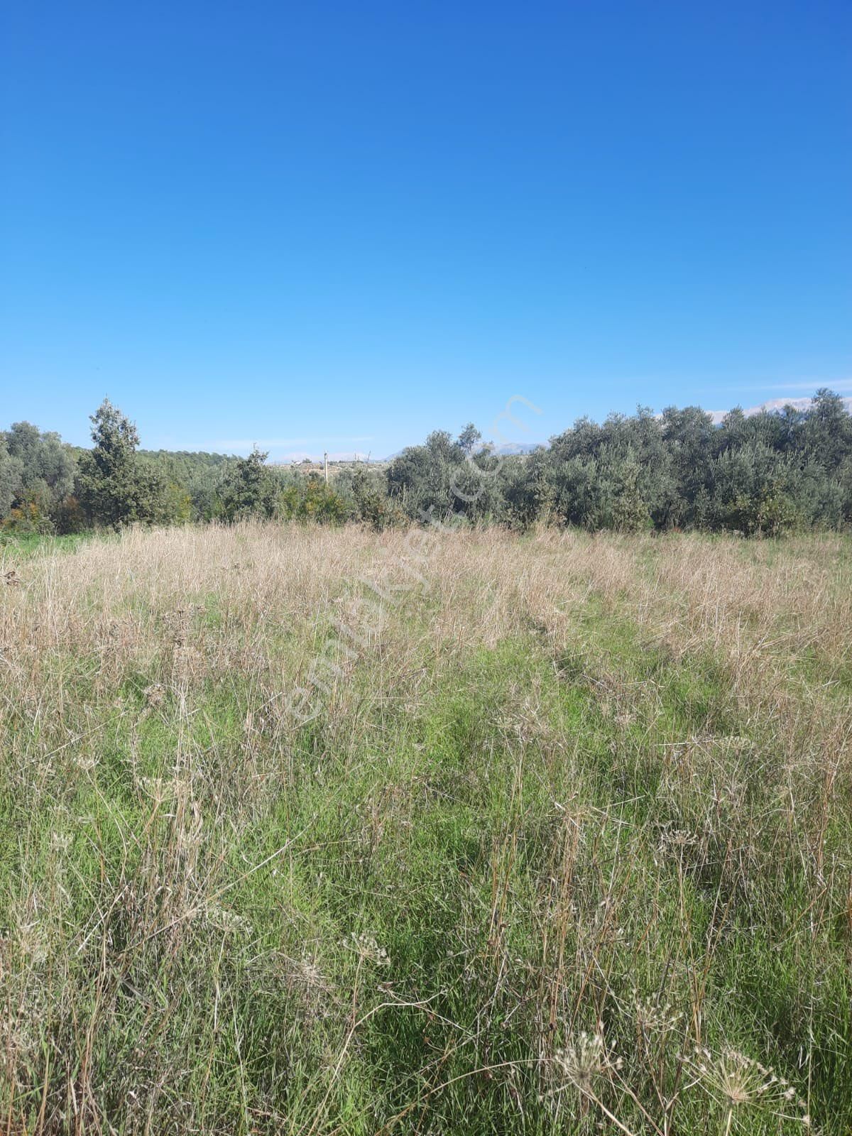 Seydikemer Minare De 1038 M2 Köy İçi İmarlı Satılık Araa - Görsel 20