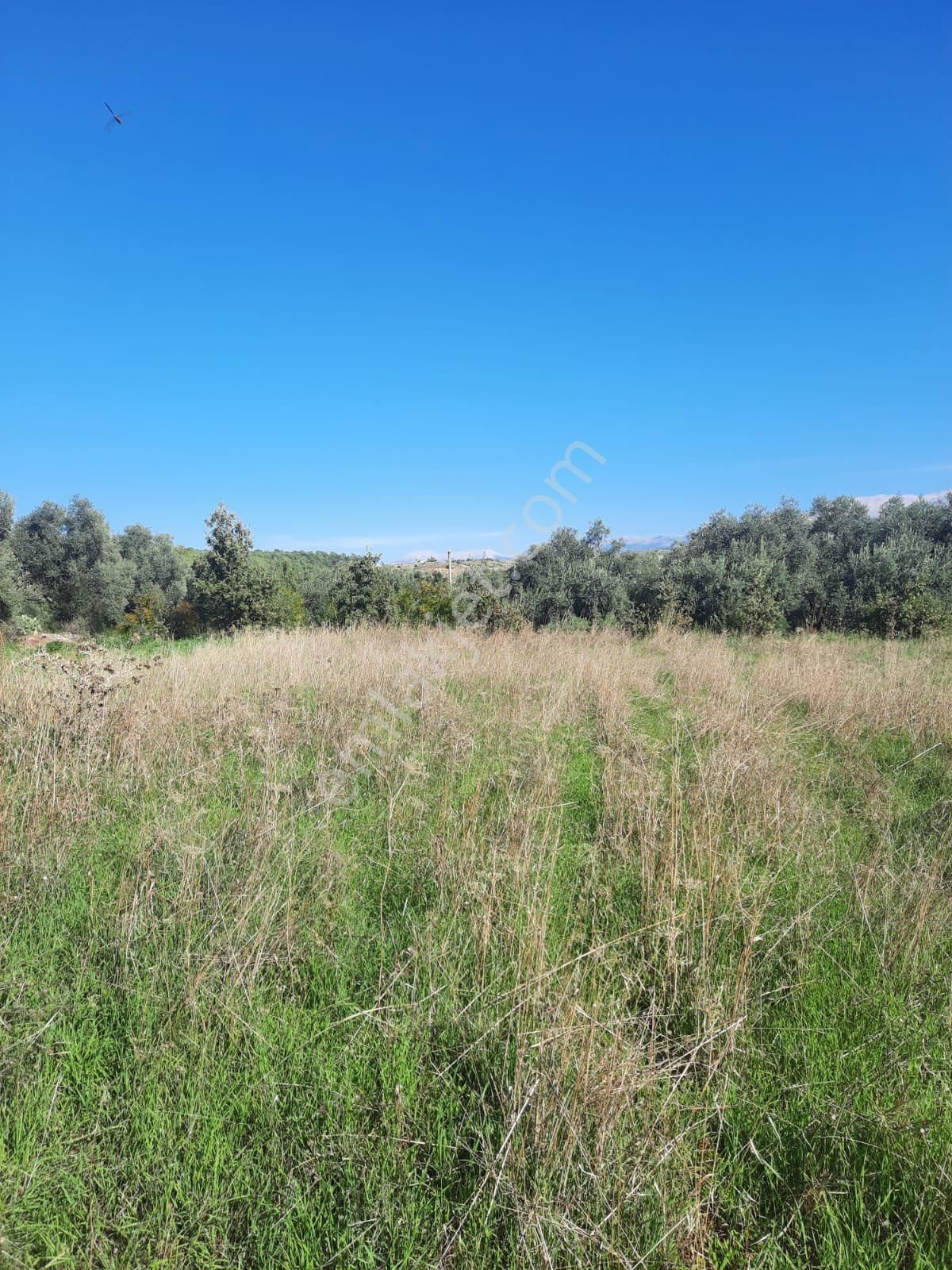 Seydikemer Minare De 1038 M2 Köy İçi İmarlı Satılık Araa - Görsel 24