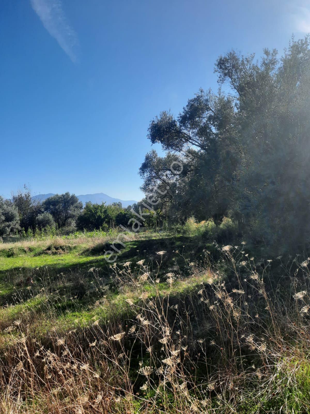 Seydikemer Minare De 1038 M2 Köy İçi İmarlı Satılık Araa - Görsel 10