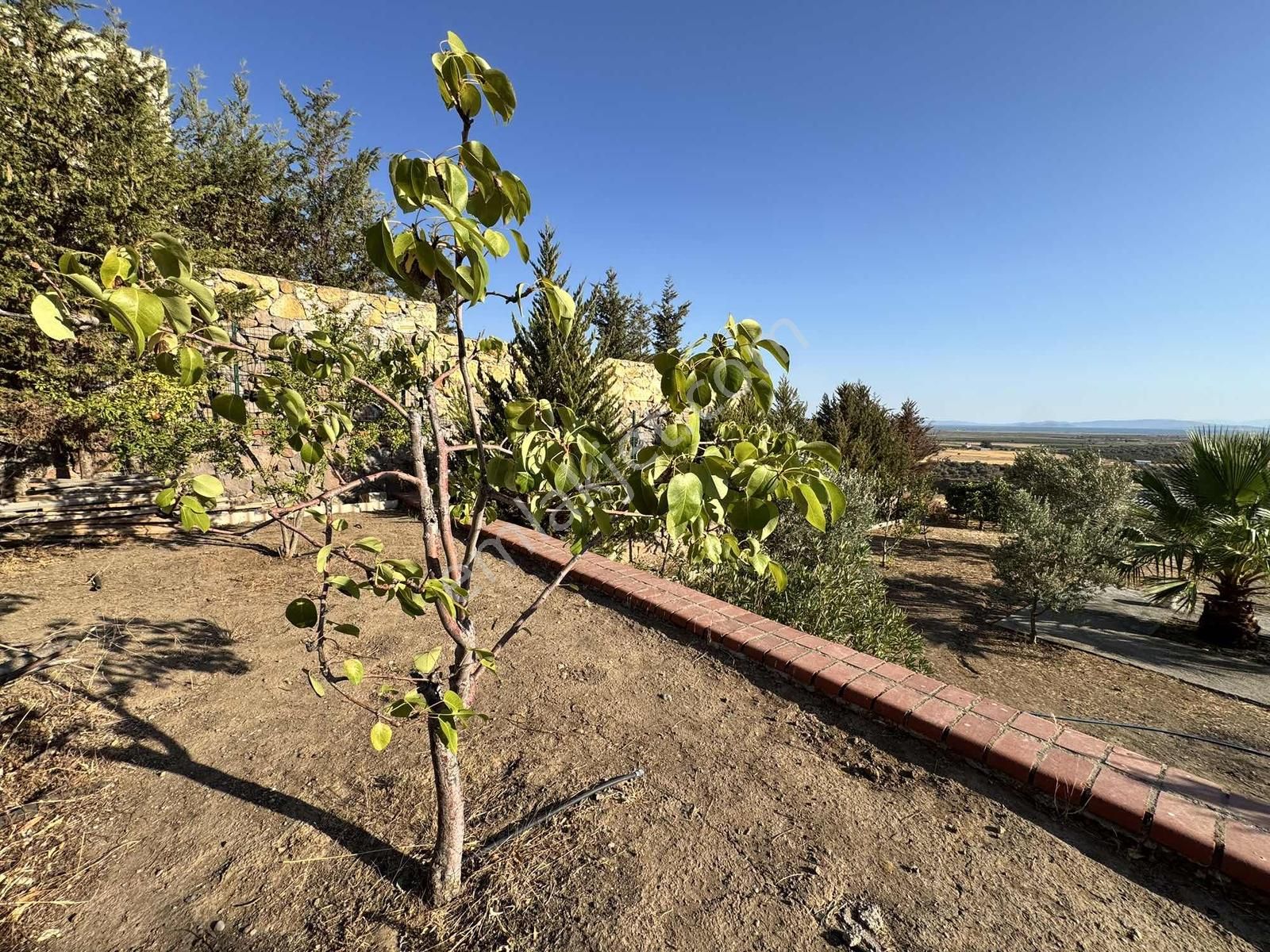 Foçaköyde I Tam Müstakil I Sonsuzluk Havuzlu I 3+1 Taş Villa - Görsel 25