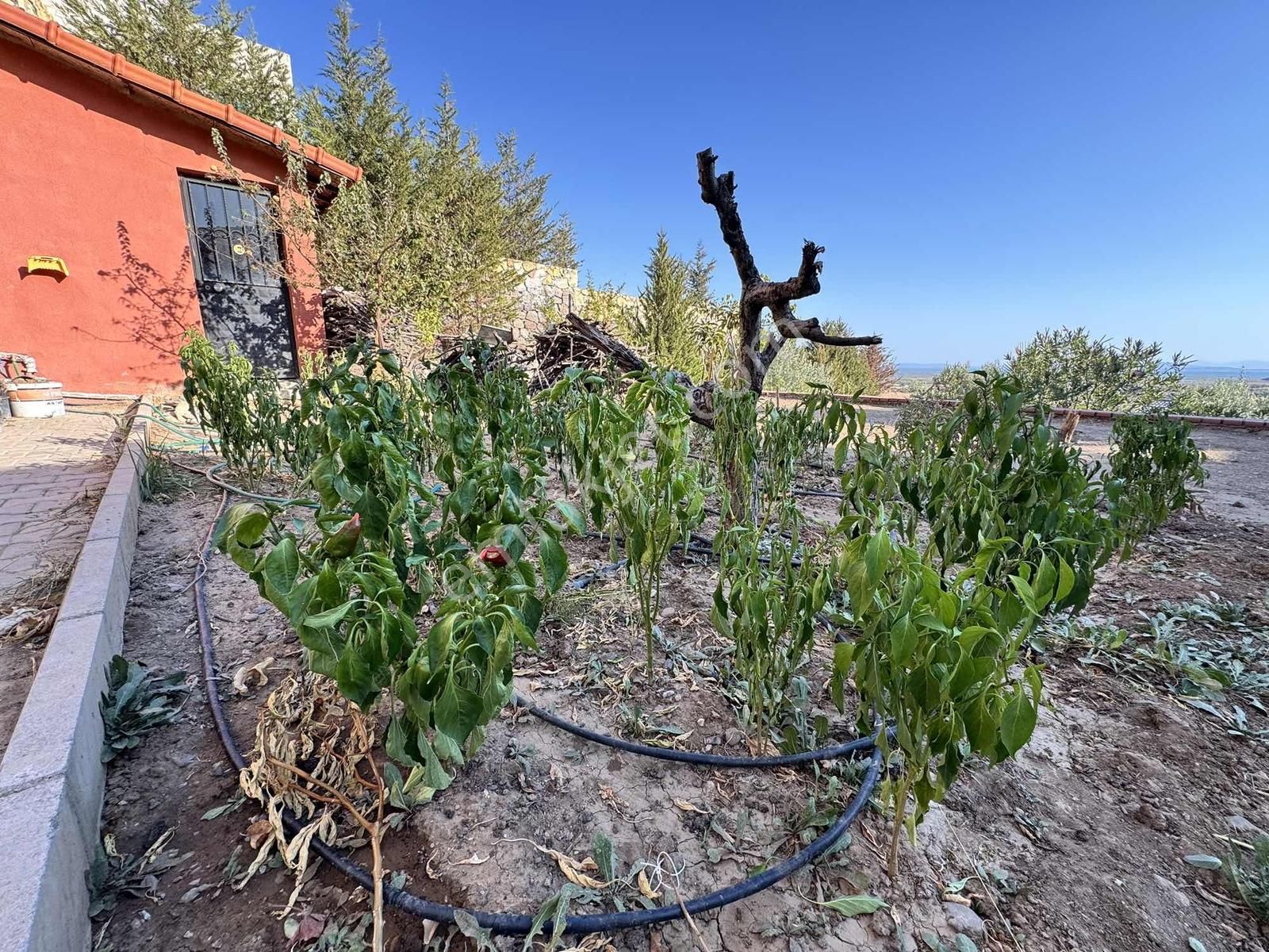 Foçaköyde I Tam Müstakil I Sonsuzluk Havuzlu I 3+1 Taş Villa - Görsel 2