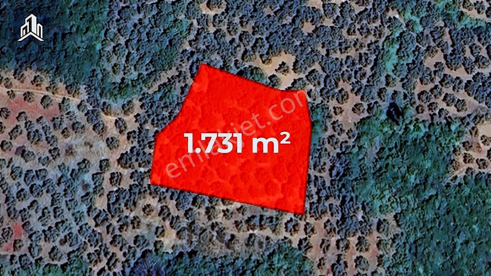 Trilye Talatbey'de Acil Satılık Emsalsiz Fiyat 1731m² Tarla