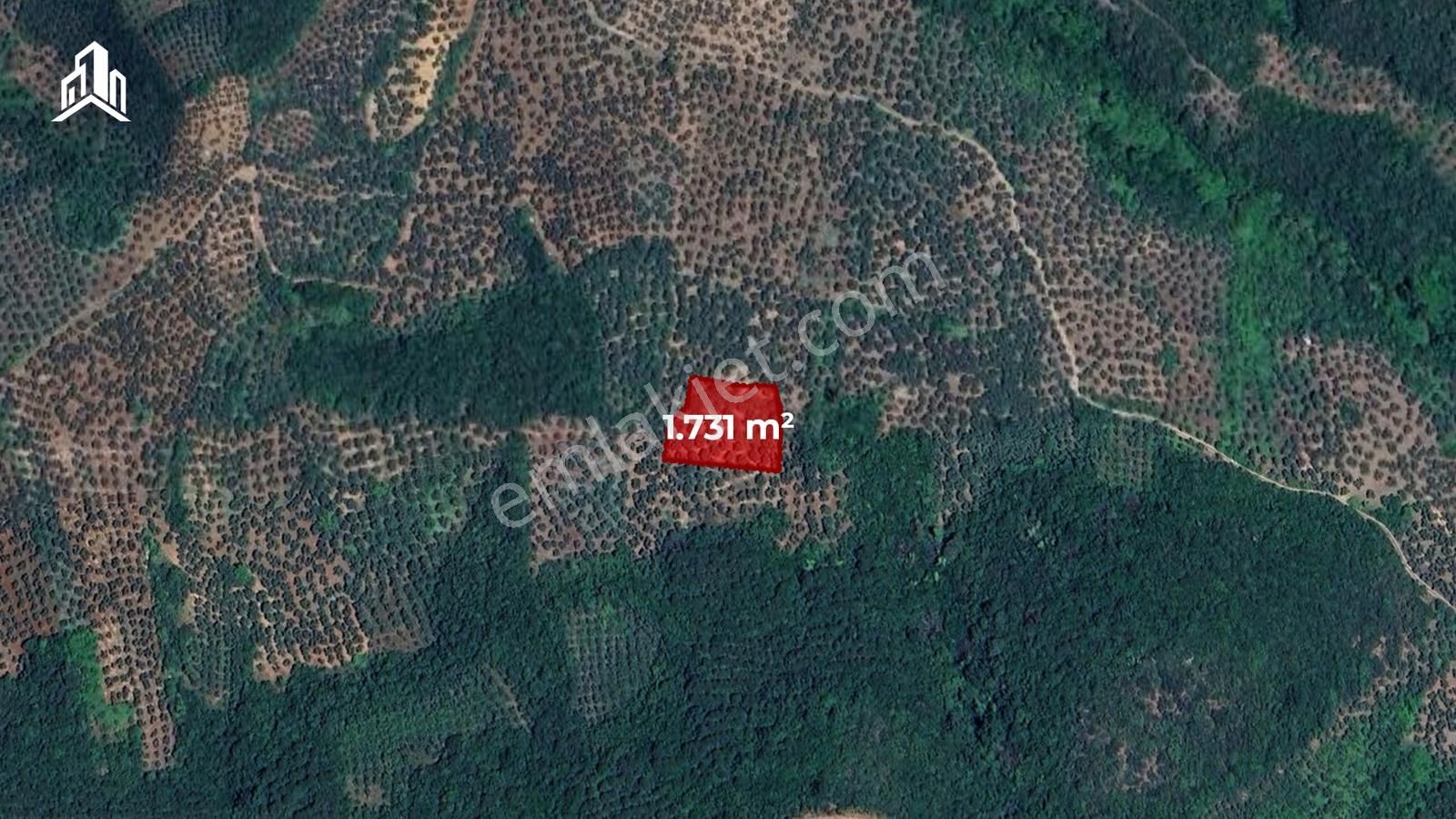 Trilye Talatbey'de Acil Satılık Emsalsiz Fiyat 1731m² Tarla - Görsel 2
