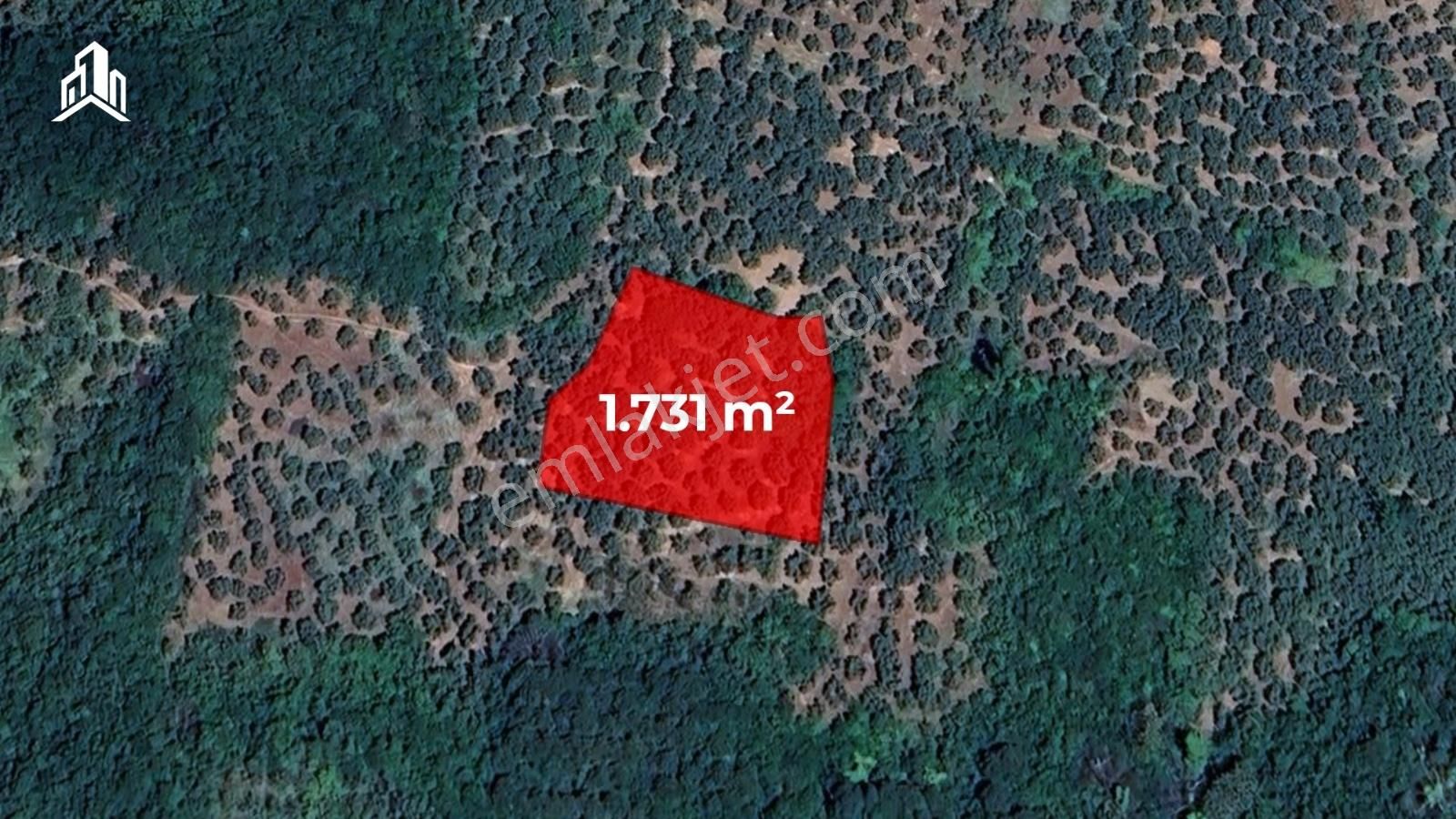 Trilye Talatbey'de Acil Satılık Emsalsiz Fiyat 1731m² Tarla - Görsel 3